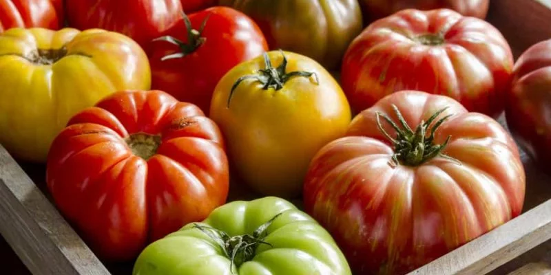 How to Can Tomatoes to Avoid BPA--Canning 101 for Beginners 5