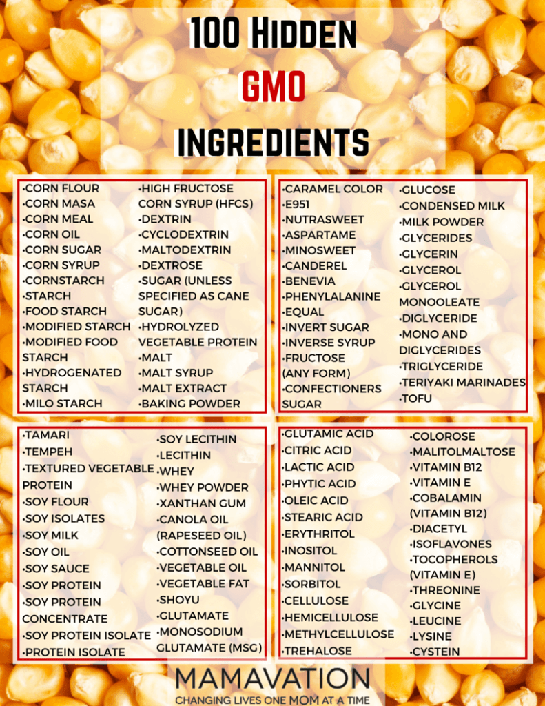 100 HIdden GMO Ingredients