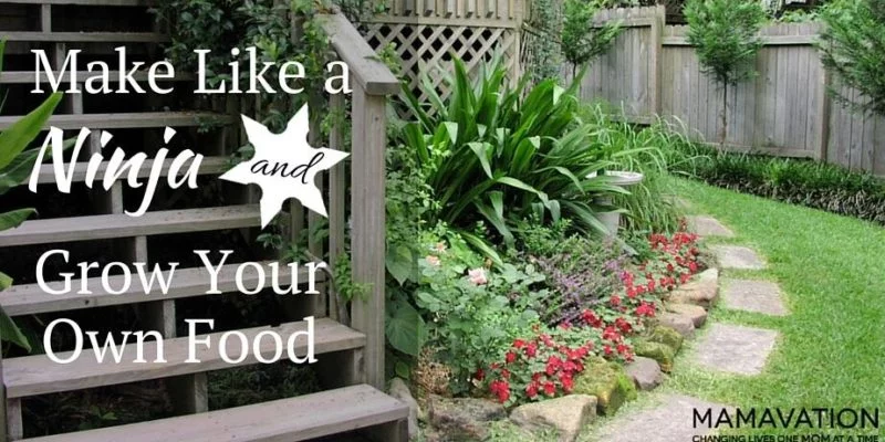 Make Like a Ninja and Grow Your Own Food