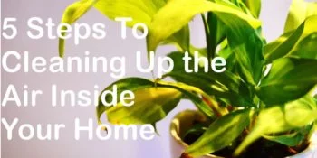 Cleaning Up the Air Inside Your Home in 5 Easy Steps