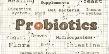 Promote Good Gut Health With These New Innovative Probiotic Products 12