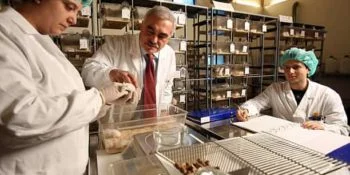 Independent Study Testing Dangers of Glyphosate Asks For Crowdfunding Support