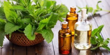 How to Beat Flu Season With 5 Herbs You Can Grow In Your Backyard 7