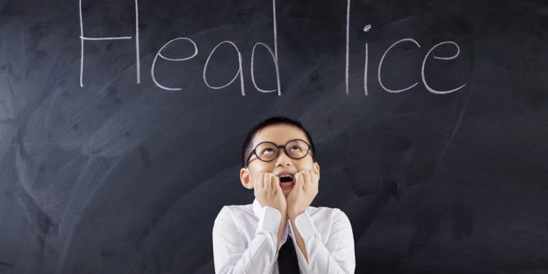Head Lice *shudders* 4