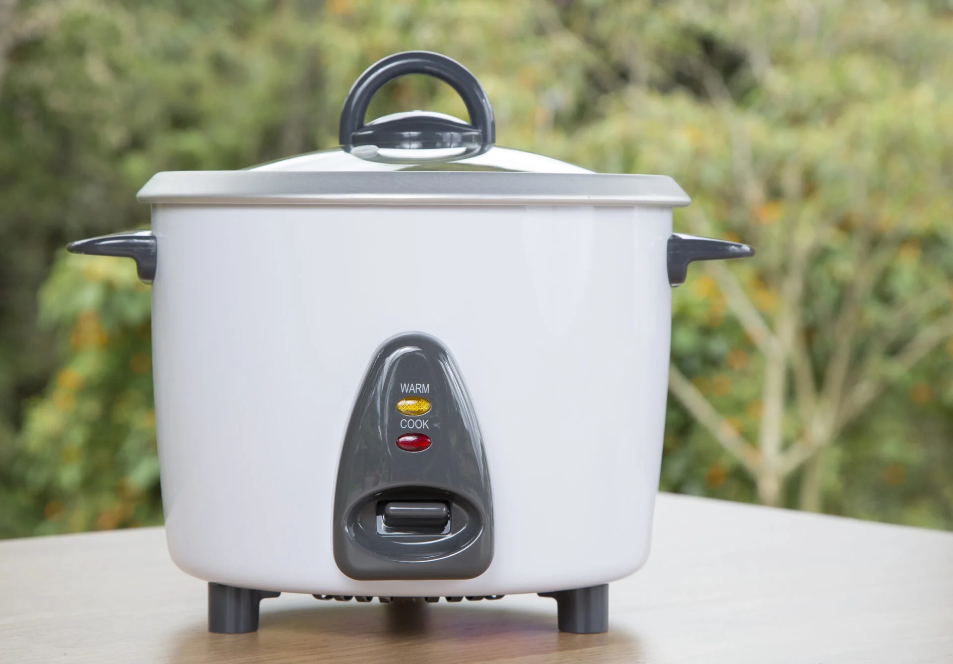 Best type of rice cooker with stainless steel food contact surface