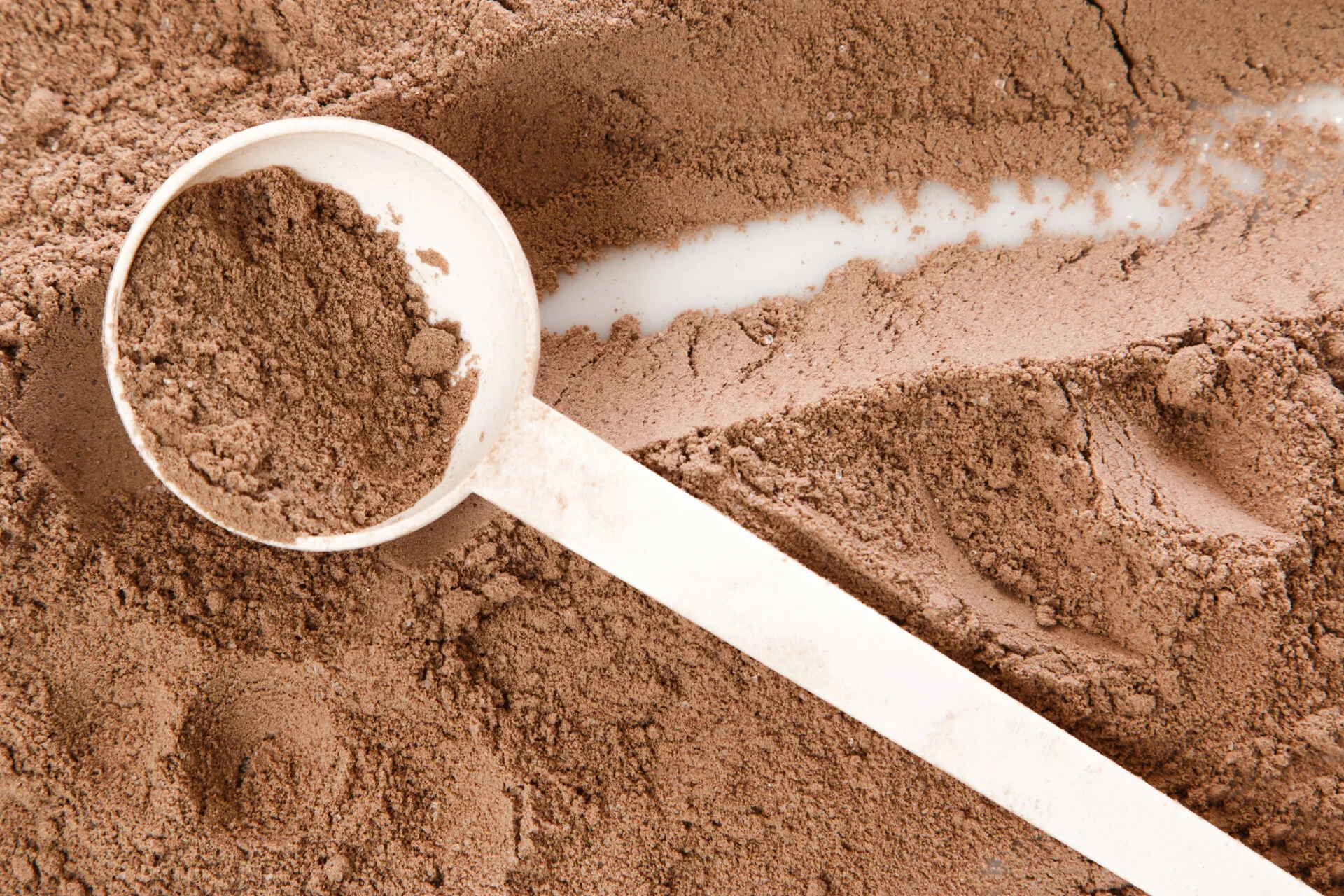 Close up of protein powder and scoop