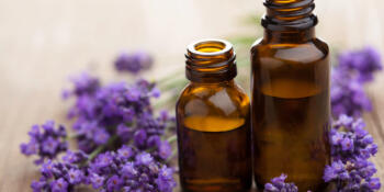 Essential Oils Tested for Toxic Phthalates -- Guide 4