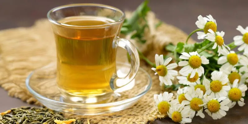 Chamomile Teas Tested for PFAS "Forever Chemicals" -- Guide 6