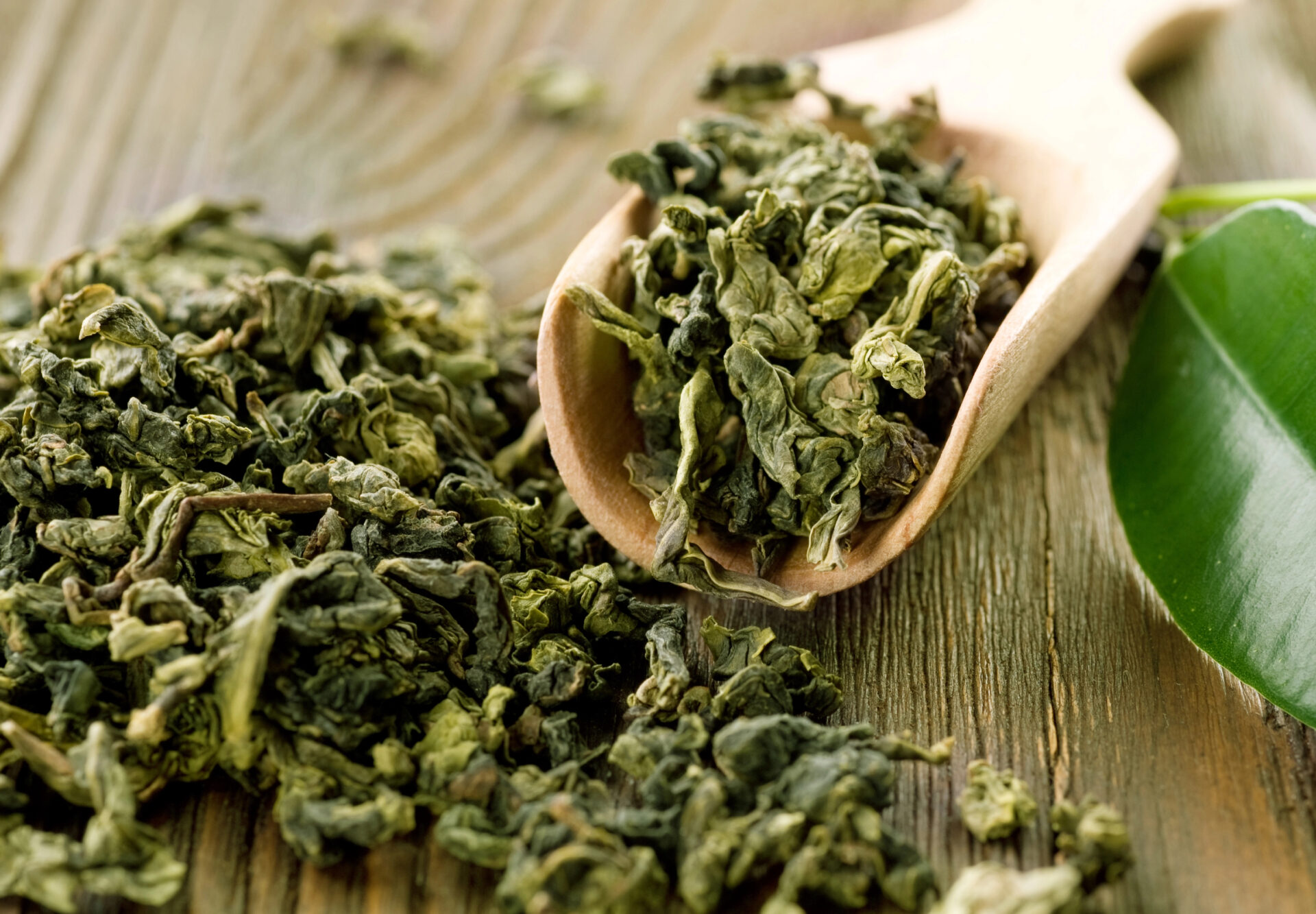 Green gunpowder tea on the table