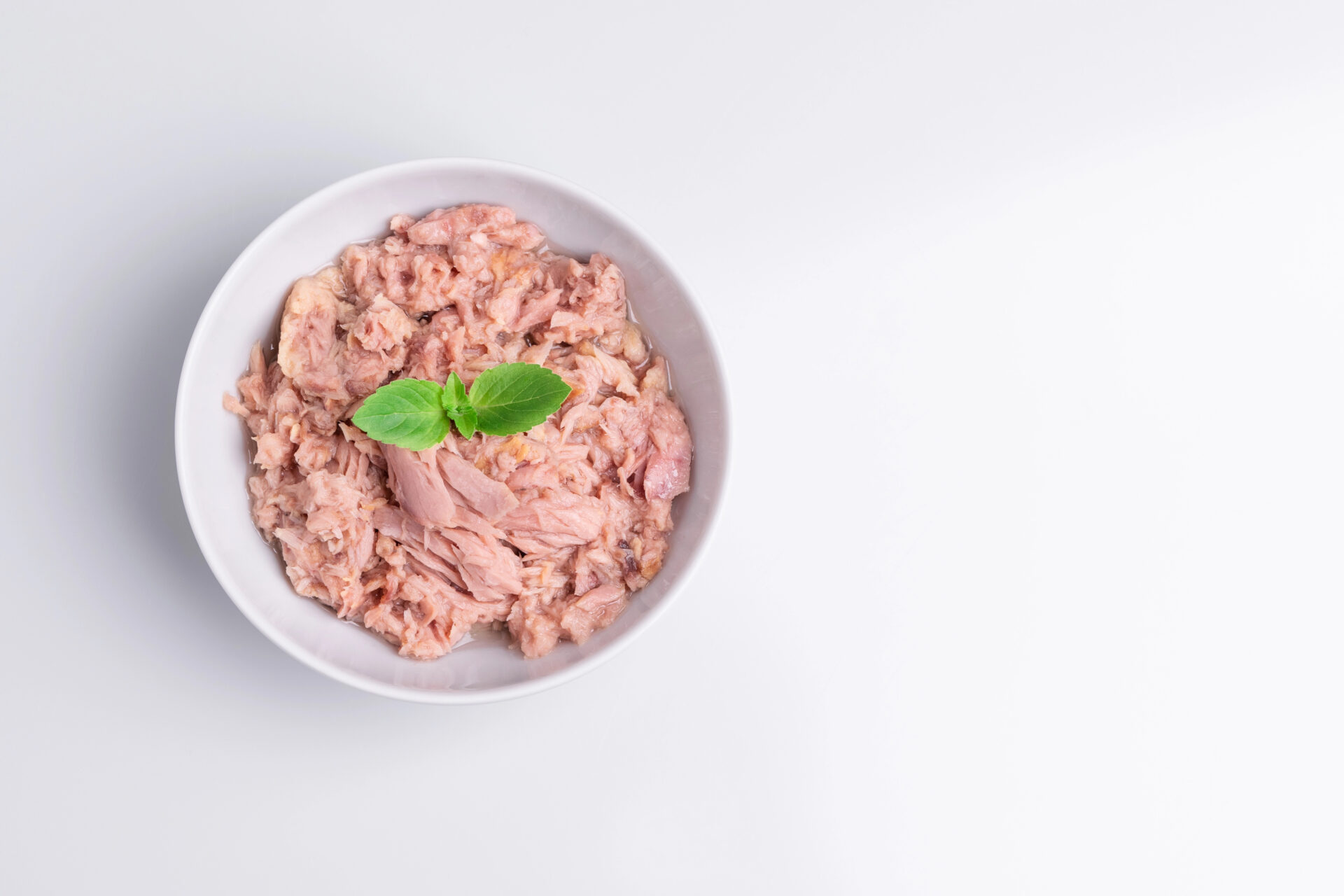 Tuna Tested for Toxic Mercury on a table with some parsley