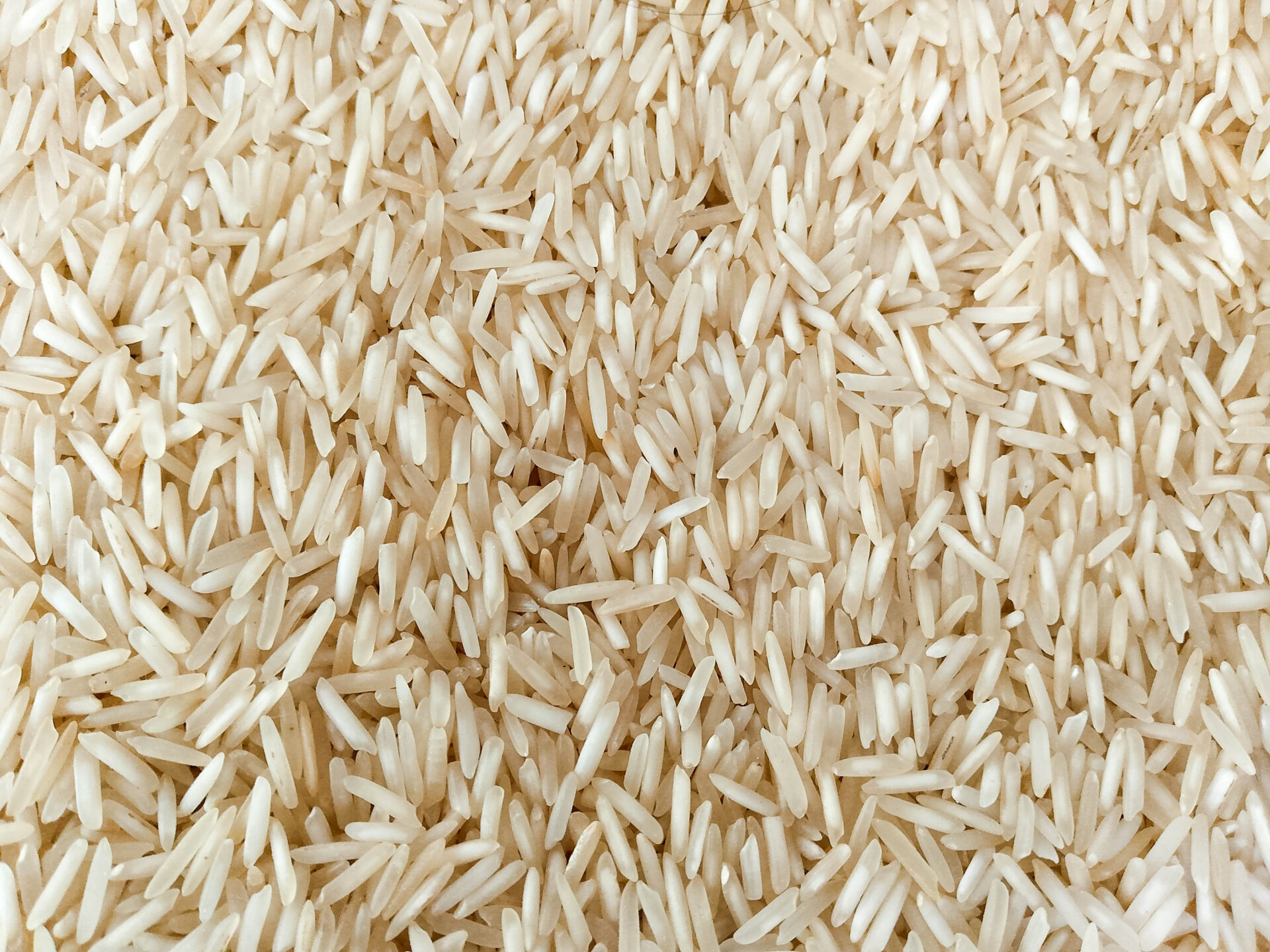 Jasmine Rice Tested for Arsenic-- Low Arsenic Rice Guide 2
