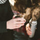 Couple holding hot thermos for tea