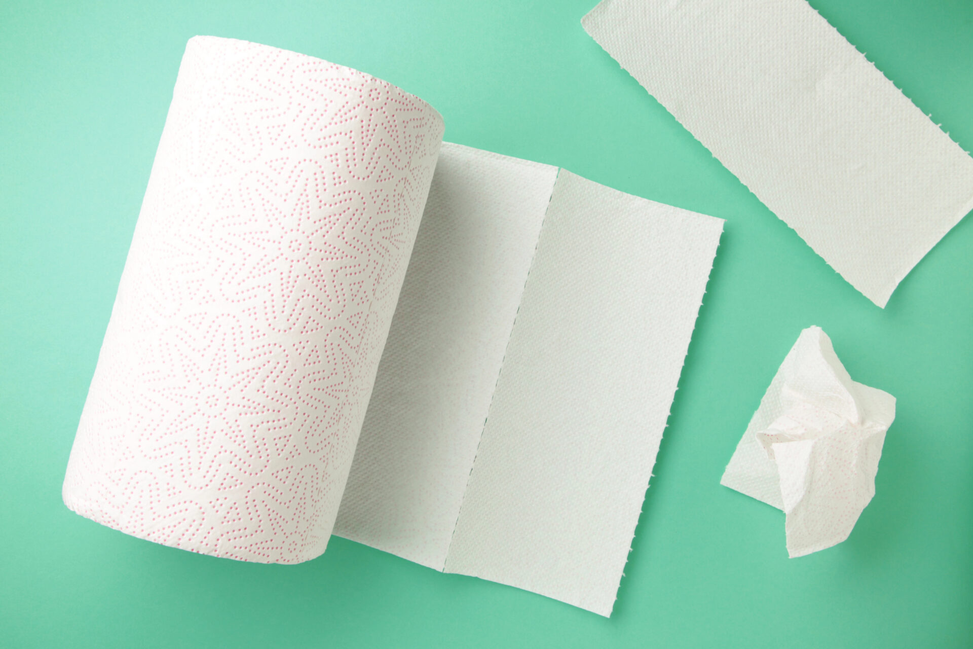Paper Towels on a mint background