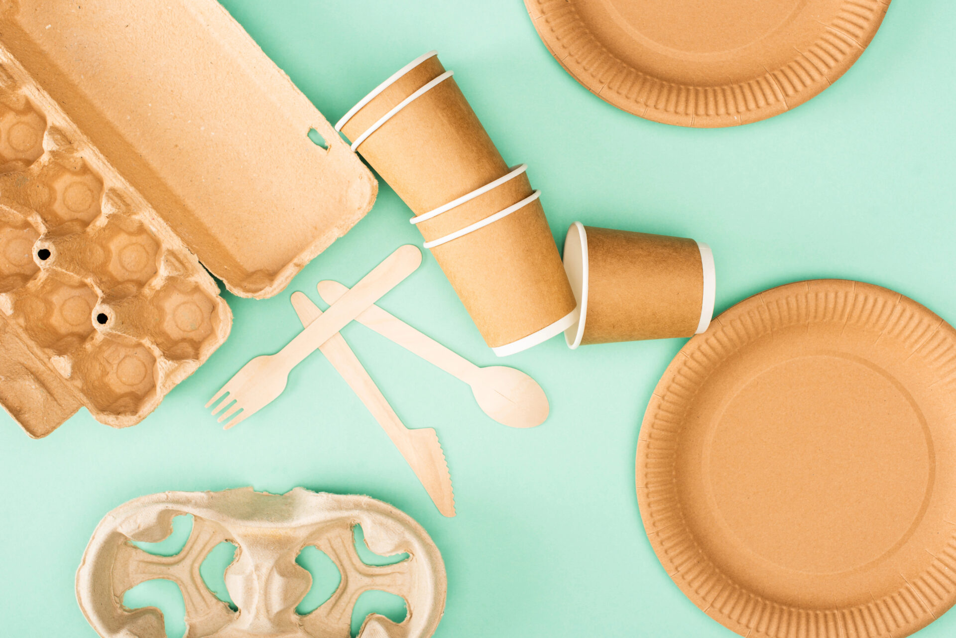 Paper plates made from cane sugar mix 