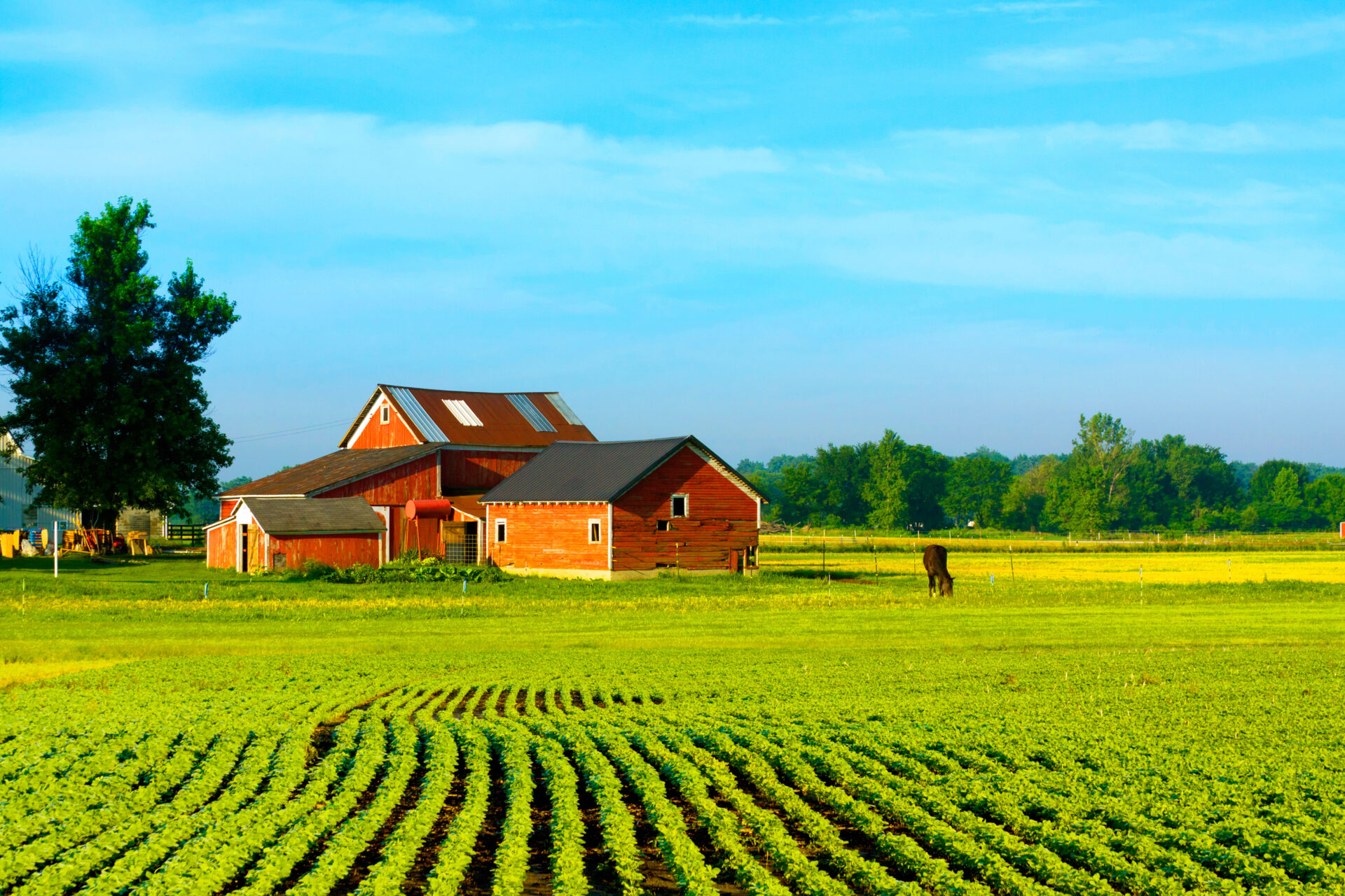 Farmland in the heartland
