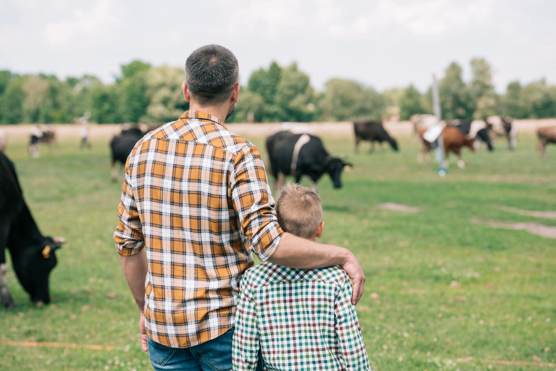 Father and son on the farm looking at their cows