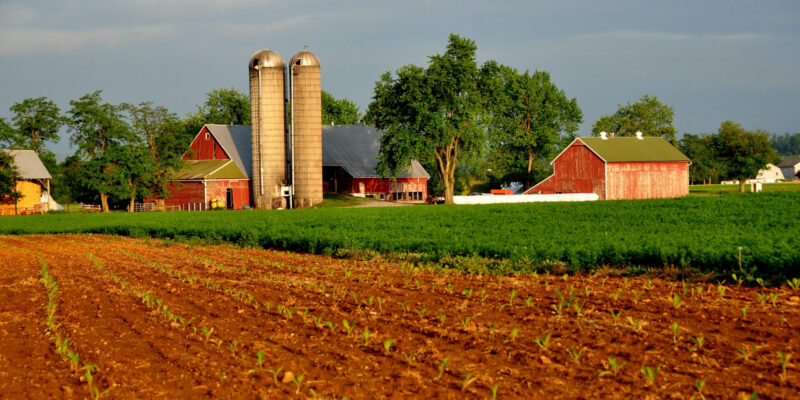 Farmland in Iowa