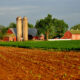 Farmland in Iowa