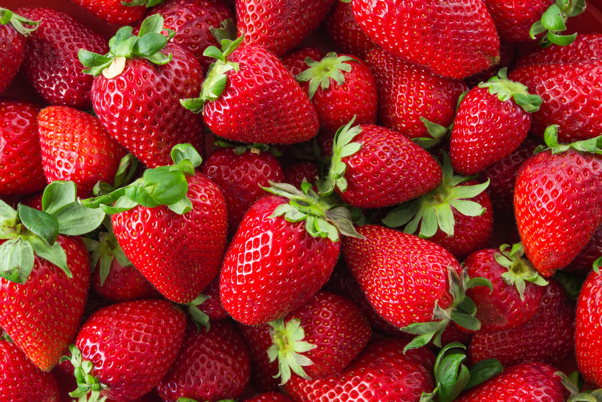 group of Fresh organic strawberries fruit