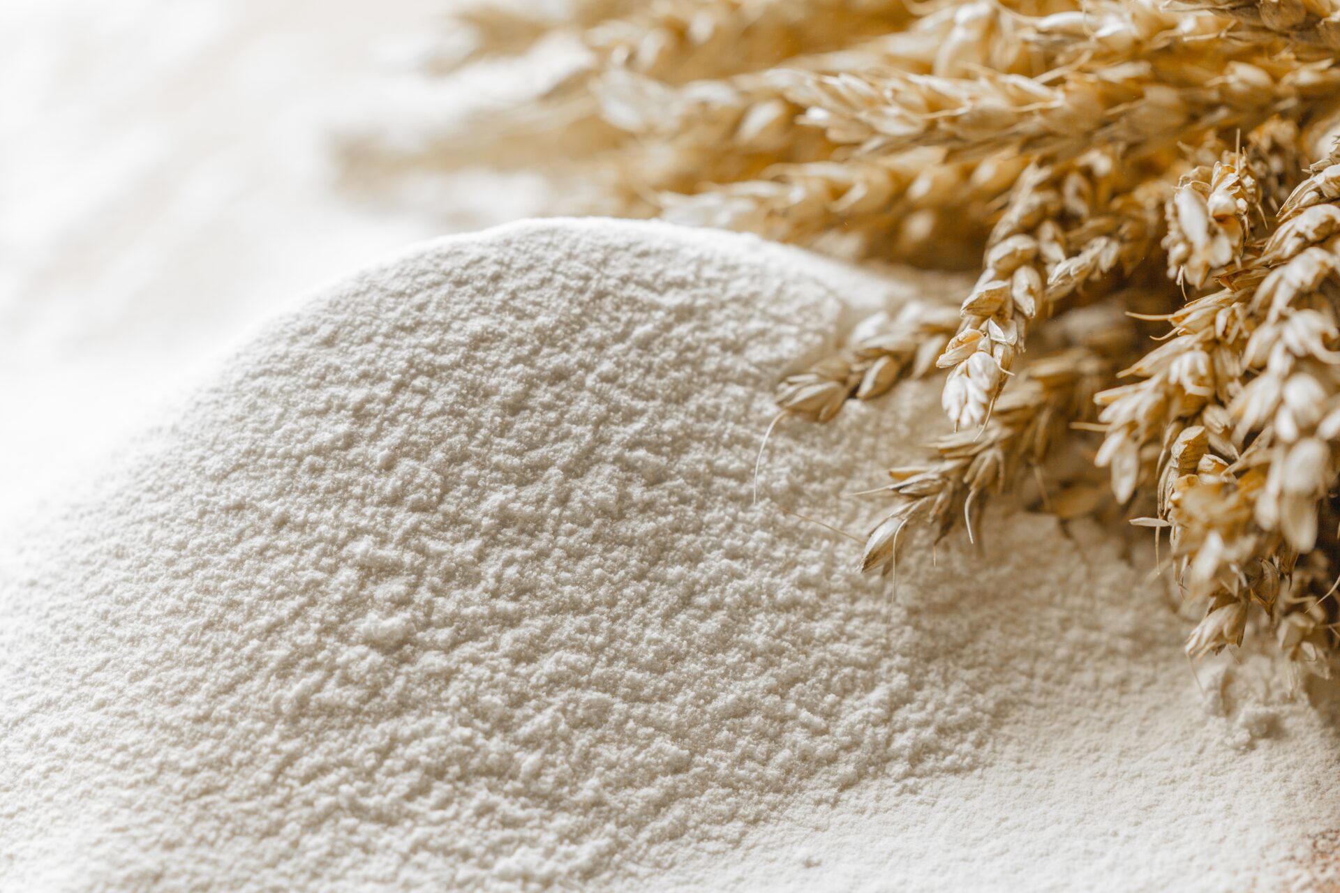 All-Purpose Organic Flours tested for glyphosate on the table with wheat on the side