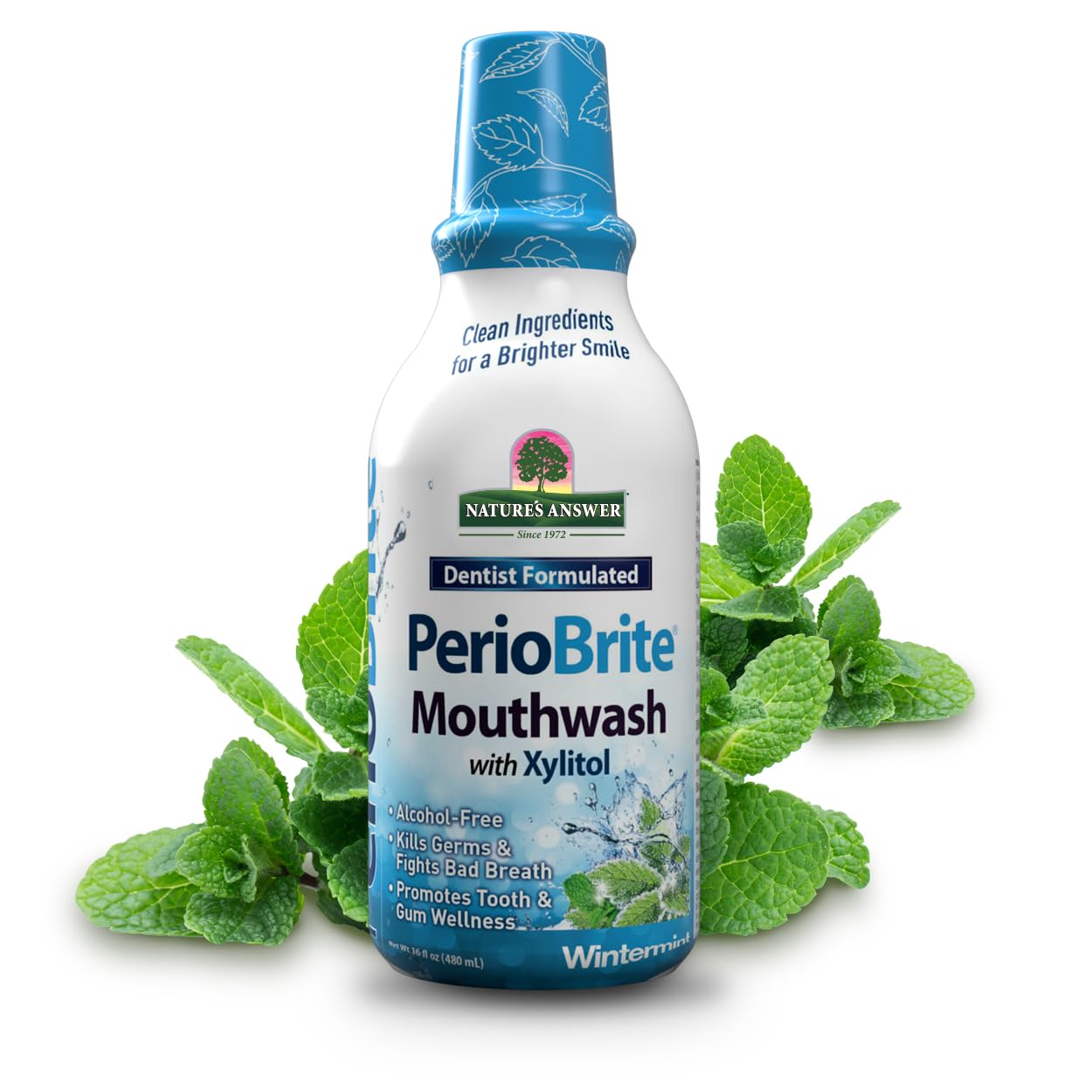 Nature's Answer PerioBrite Natural Mouthwash Wintermint